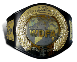 Чемпионский пояс WDFA